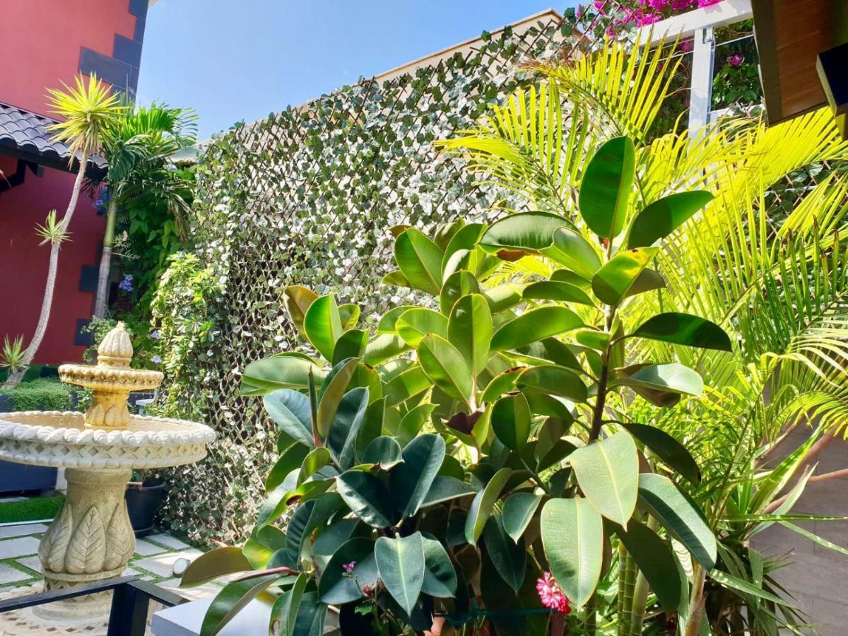 Casa Roque Aguayro Villa อากวีเมส ภายนอก รูปภาพ